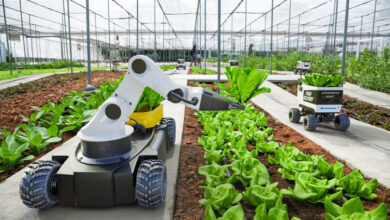 Les robots au service de l’agriculture boostent les récoltes