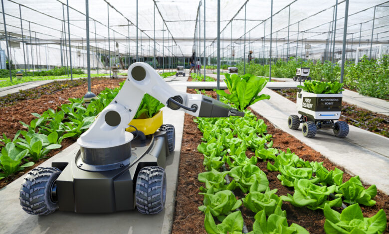 Les robots au service de l’agriculture boostent les récoltes