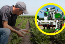 Comment Les robots transforment l'agriculture