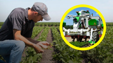 Comment Les robots transforment l'agriculture